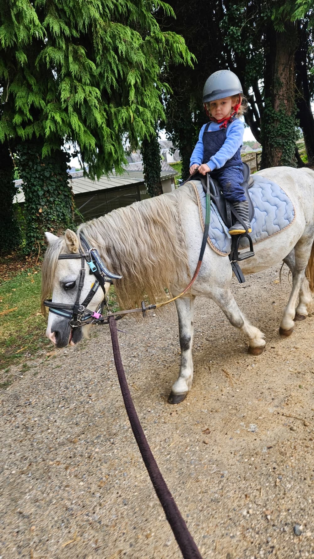 balade poney en main