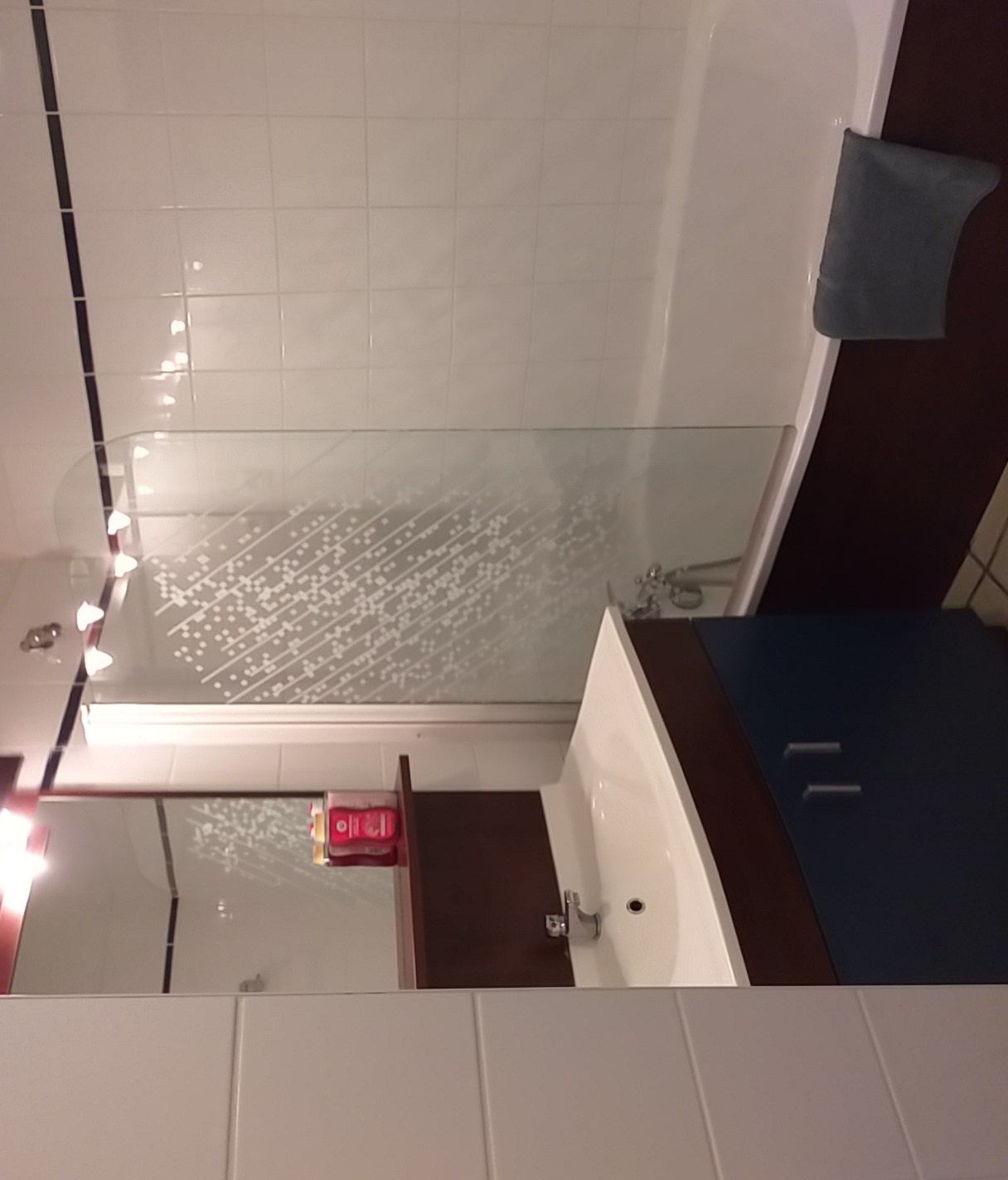SALLE DE BAIN AVEC DOUCHE