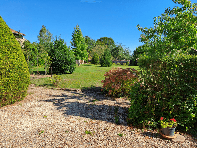 jardin