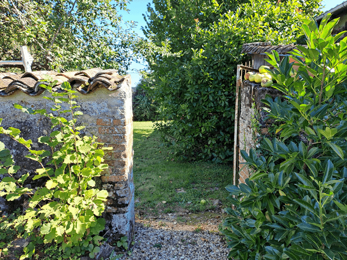 jardin