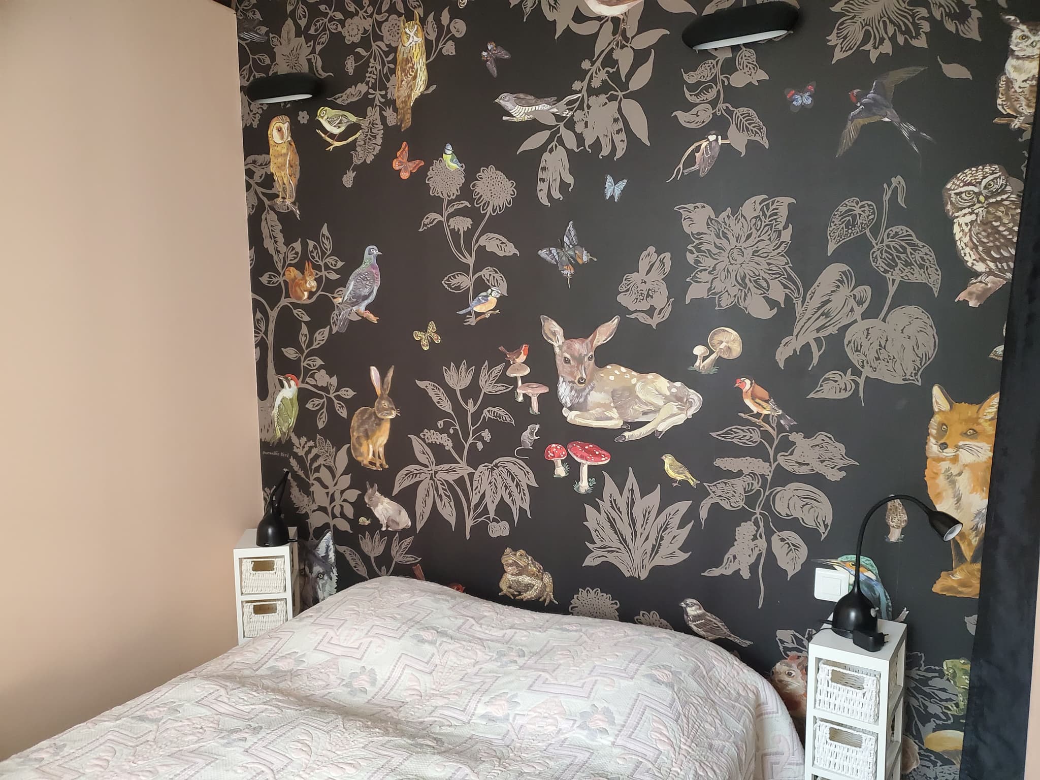 Chambre RDC