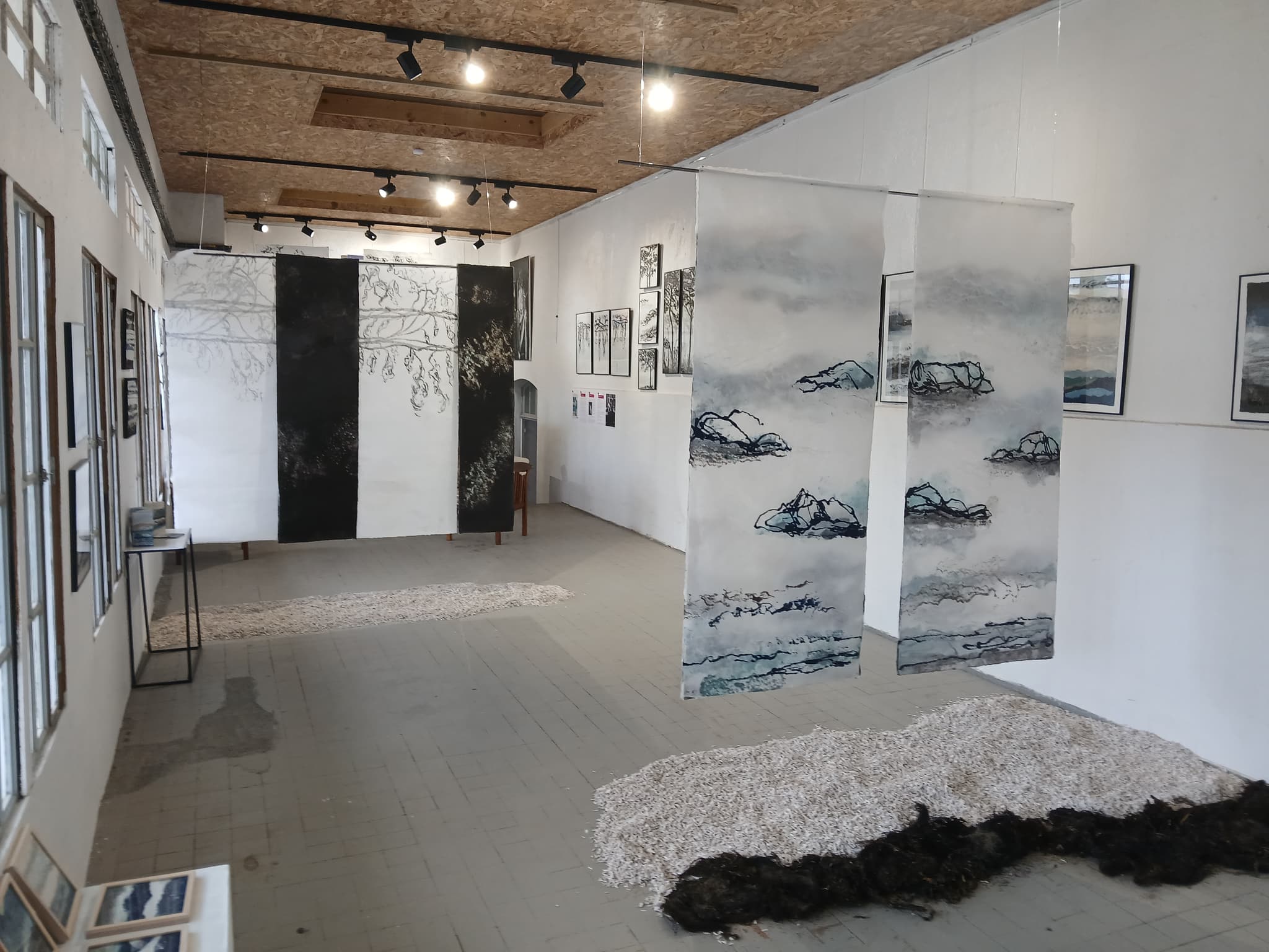 Territoires Sensibles, exposition d'Anne Morea