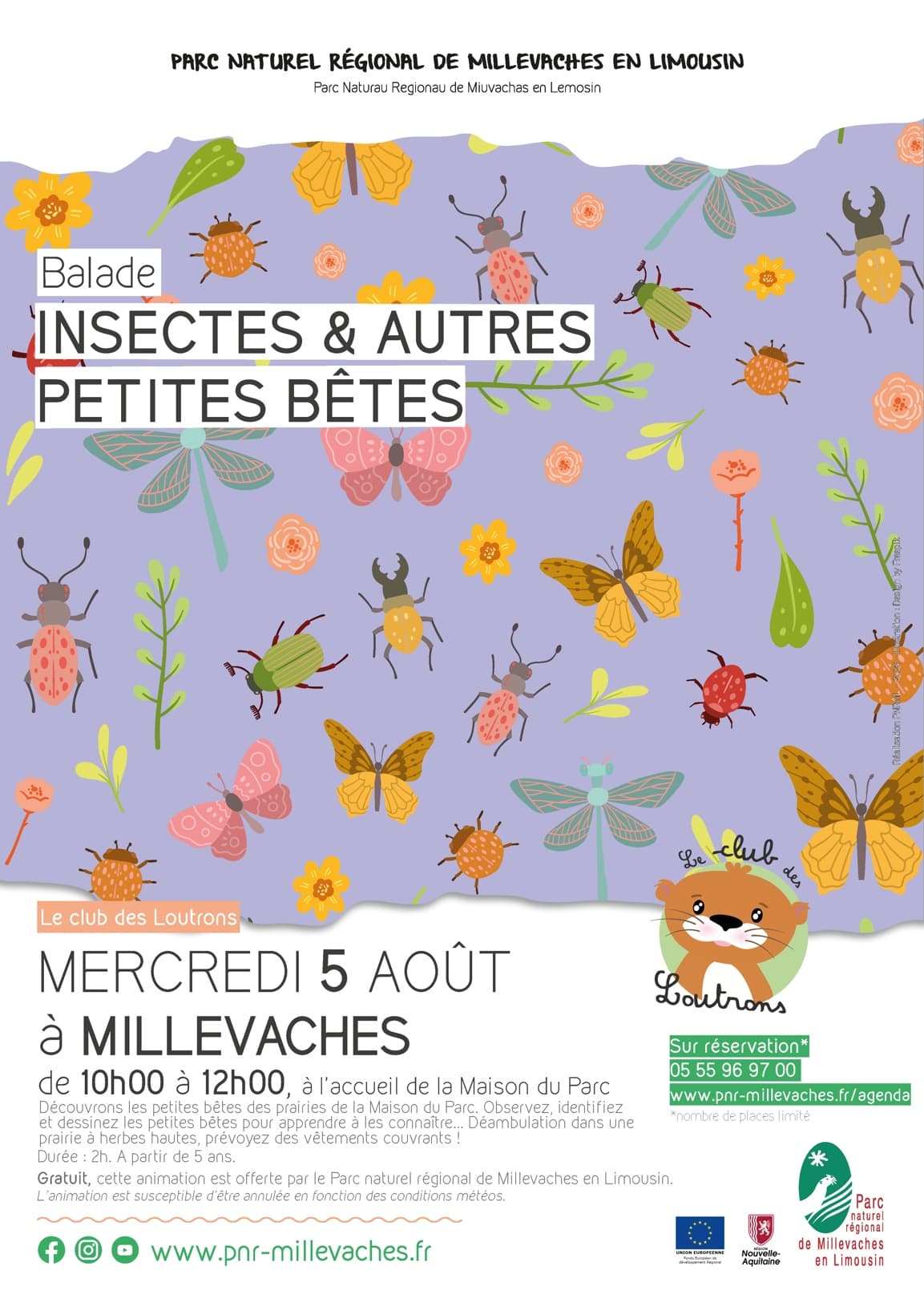 20260805_CDL_insectes-web