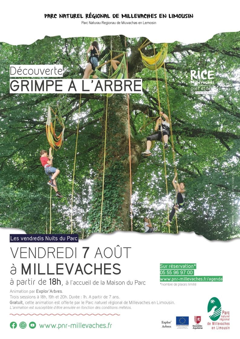 20260807_VNP_MILLEVACHES_grimpe-arbre-web