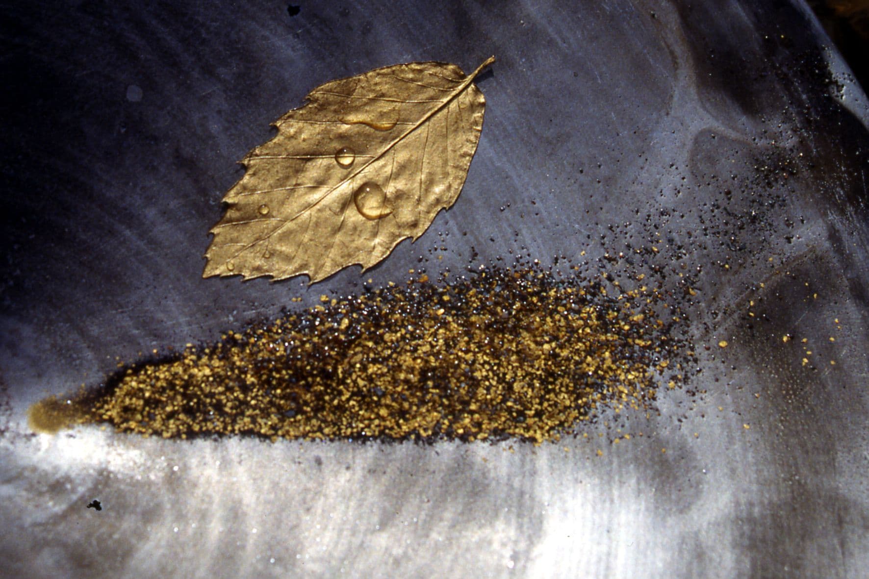 Orpaillage : chercheur d'or_3