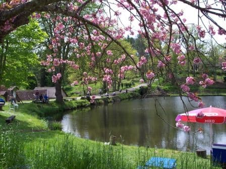 gîte du pécheur le moulin authier coussac bonneval_12