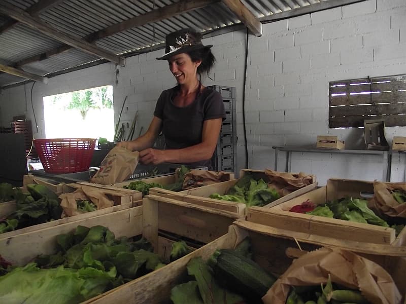 terre ferme coussac bonneval_1