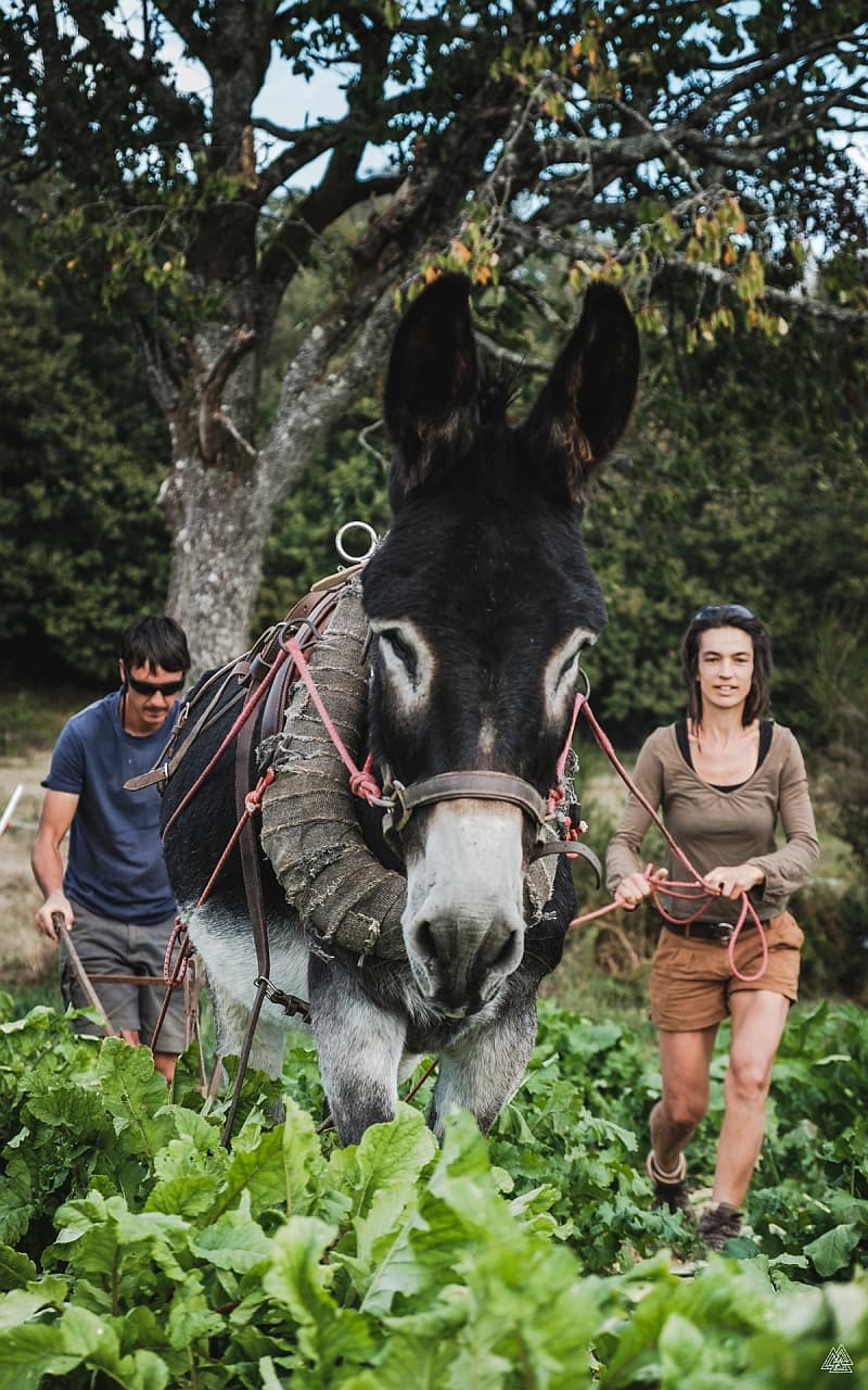 terre ferme coussac bonneval_3