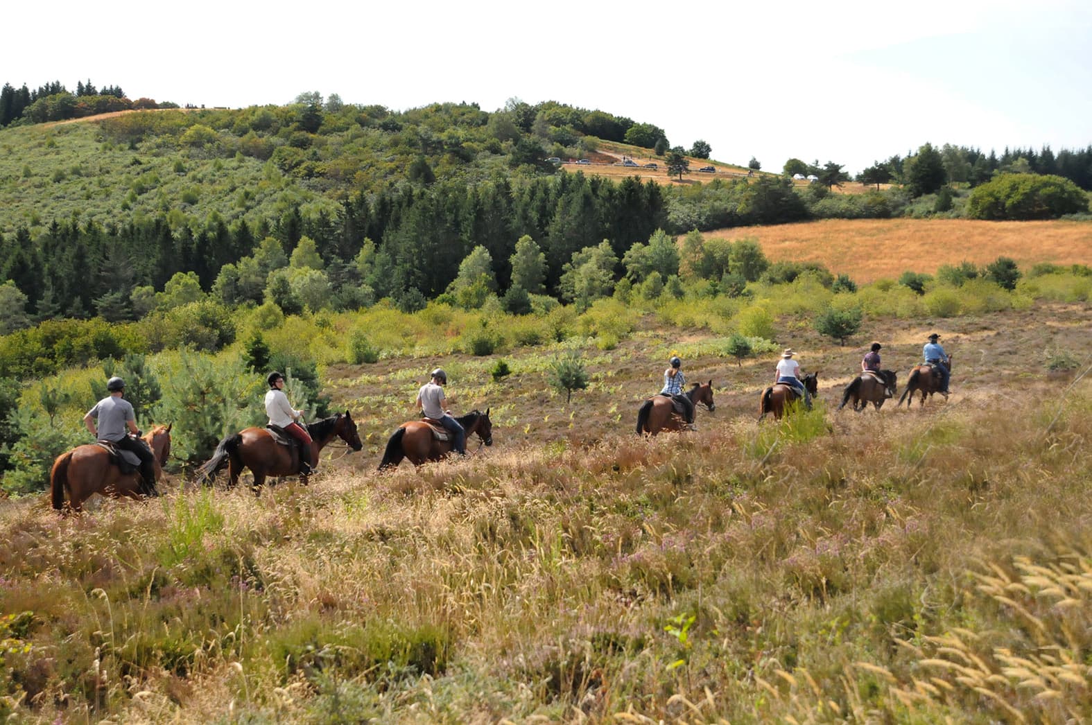 randonnée équestre dans le PNR Millevaches_5