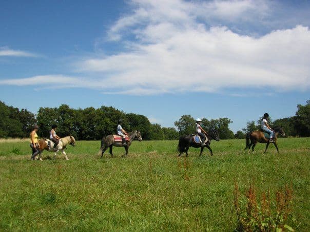 Centre équestre Cheval Pot'Agé