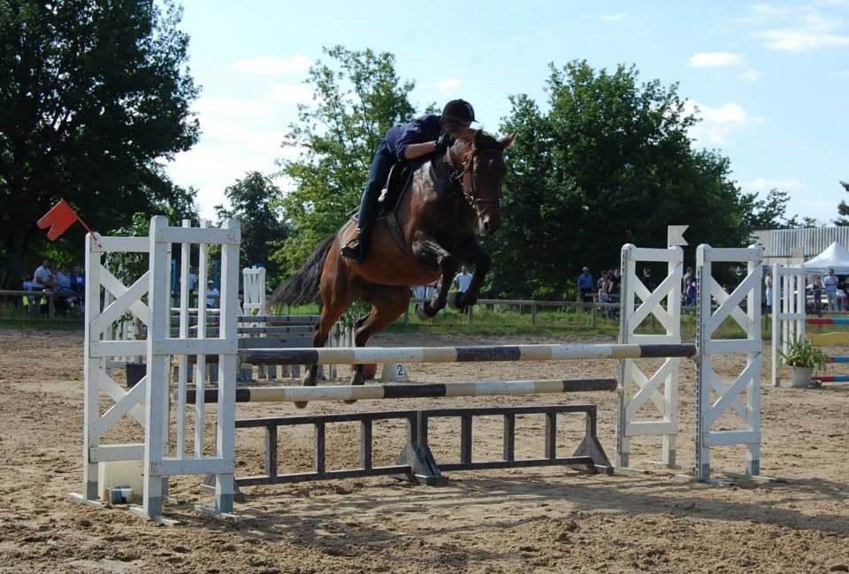 Centre équestre Cheval Pot'Agé