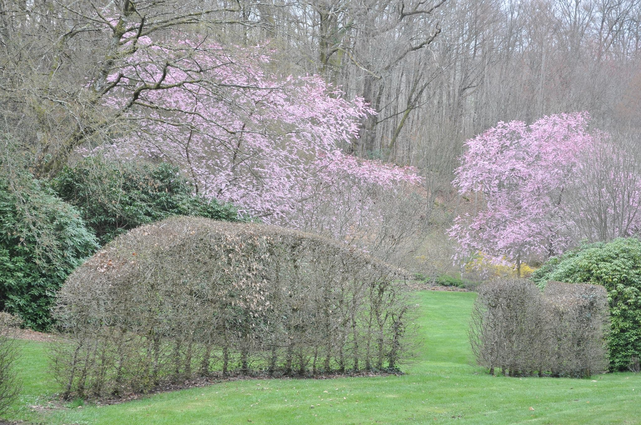 Arboretum de la Sédelle_3