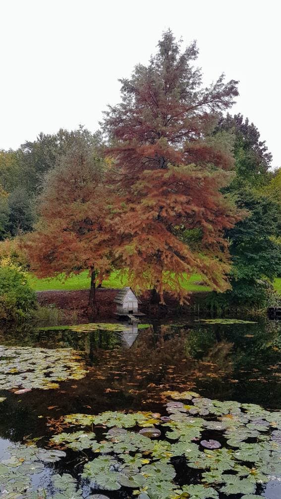 Arboretum de la Sédelle_5