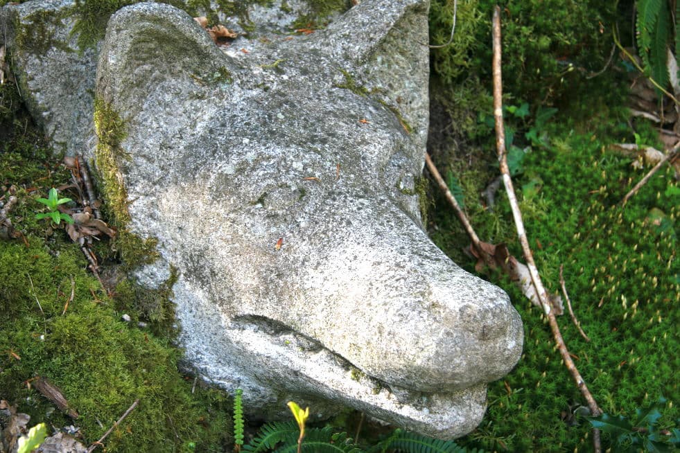 Le Bois de Chabannes_2