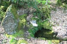 Le Bois de Chabannes_4