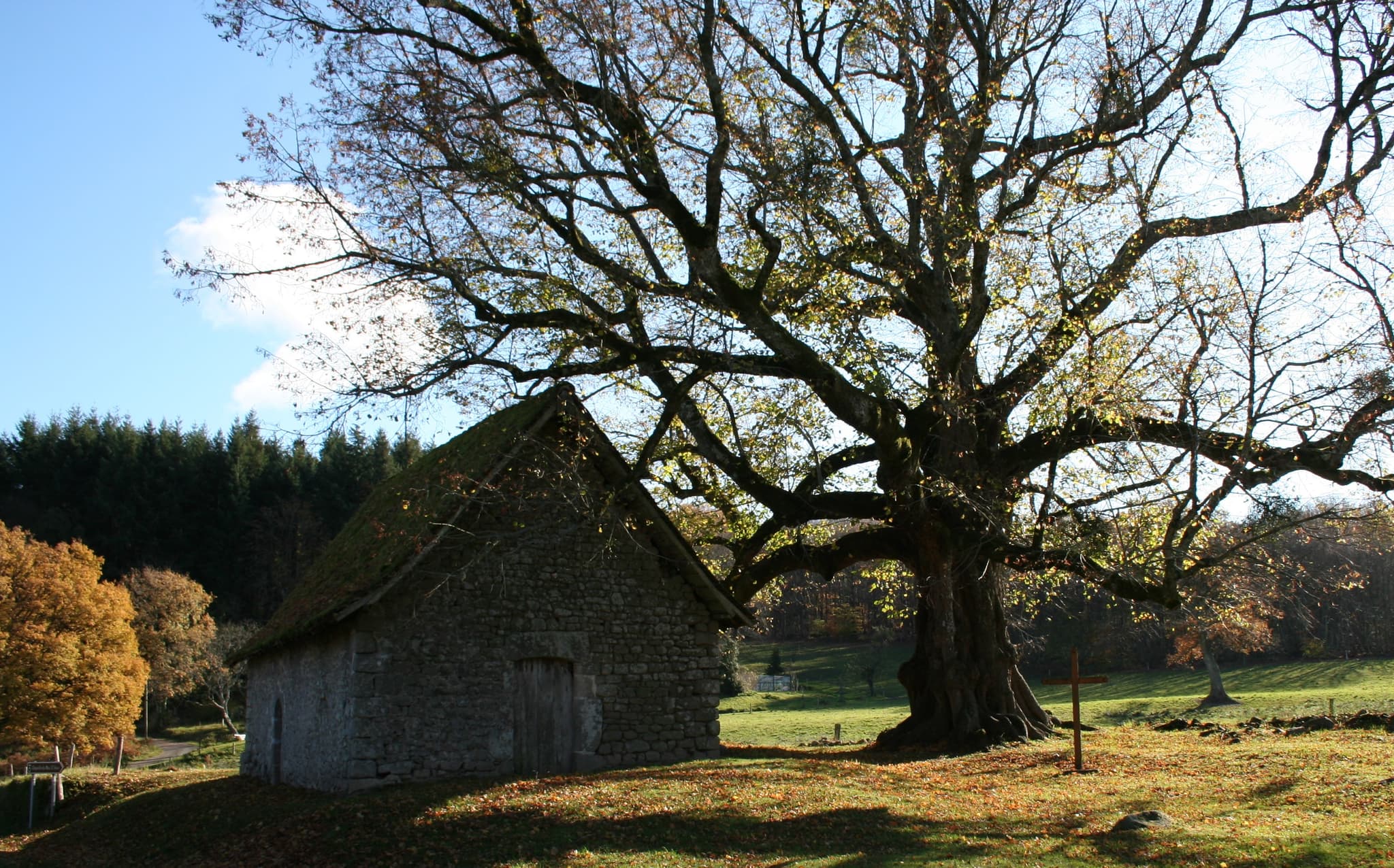 Le Bois de Chabannes_5