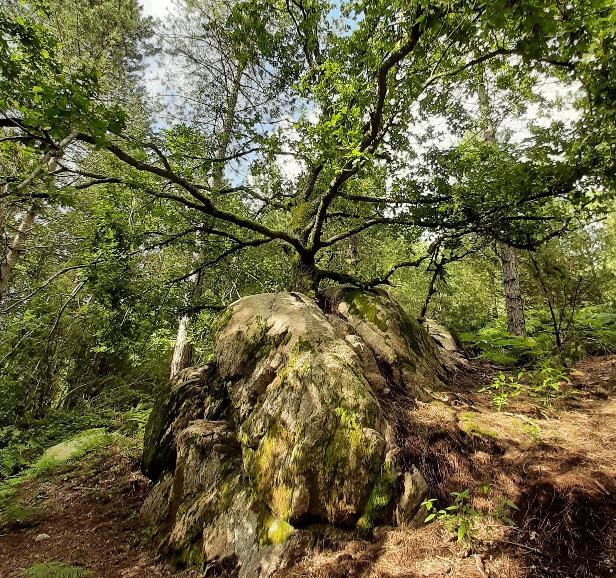 Les combes de la Cazine_2