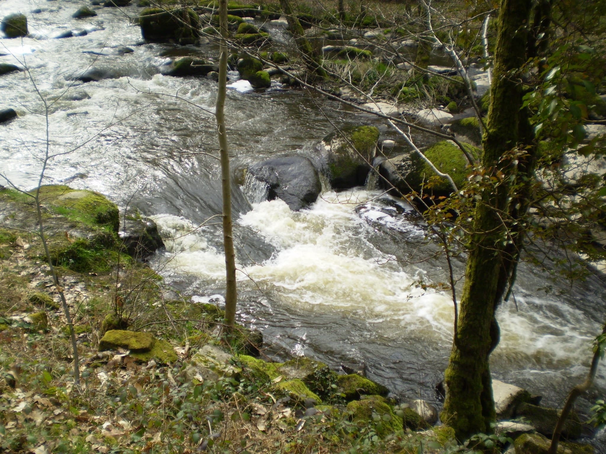 Bords de la Sédelle_1