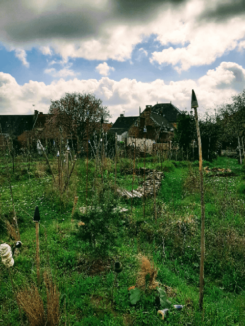 Le jardin de l'Usage des Jours_5