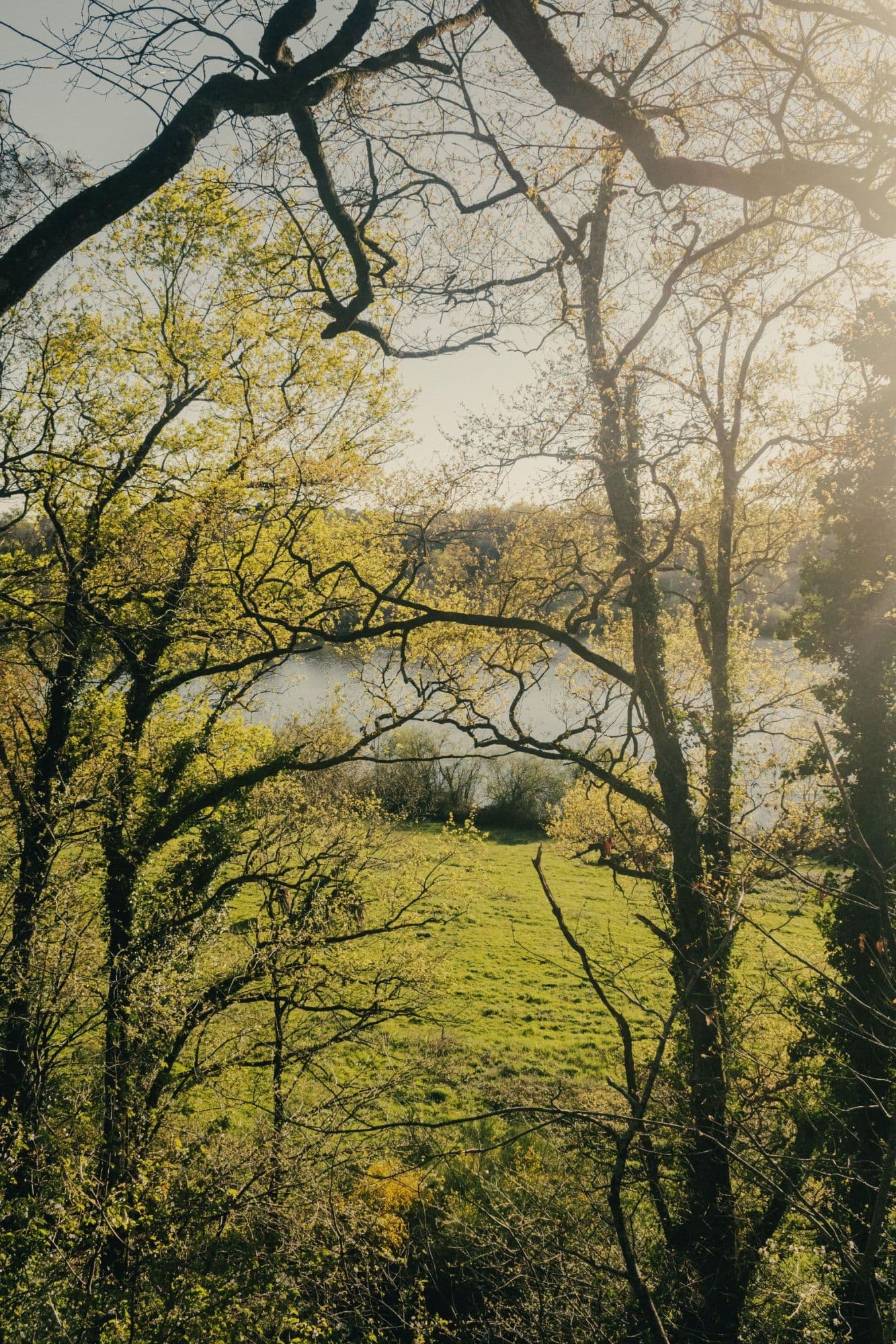 21_10-970