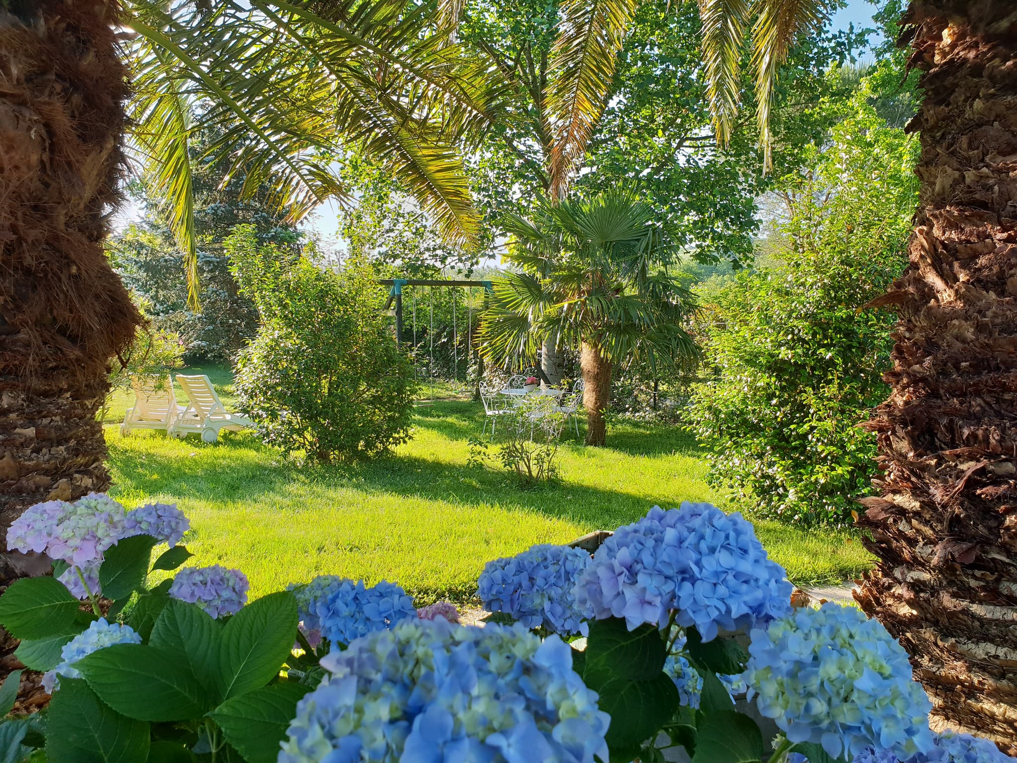JARDIN