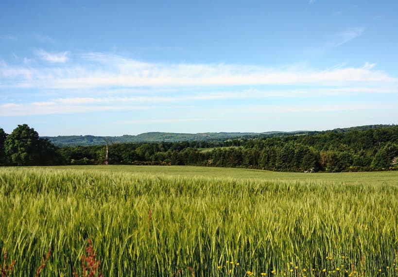 Les Monts de Blond_7