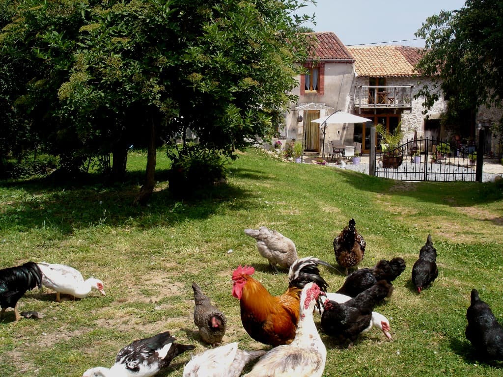 Chambre d'hôtes - Lazy Days_6
