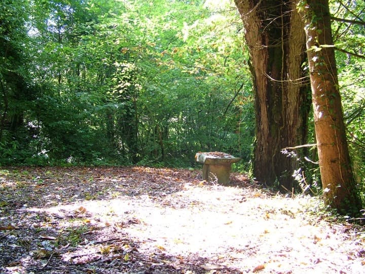 Parc paysager du château de Las-Croux_8
