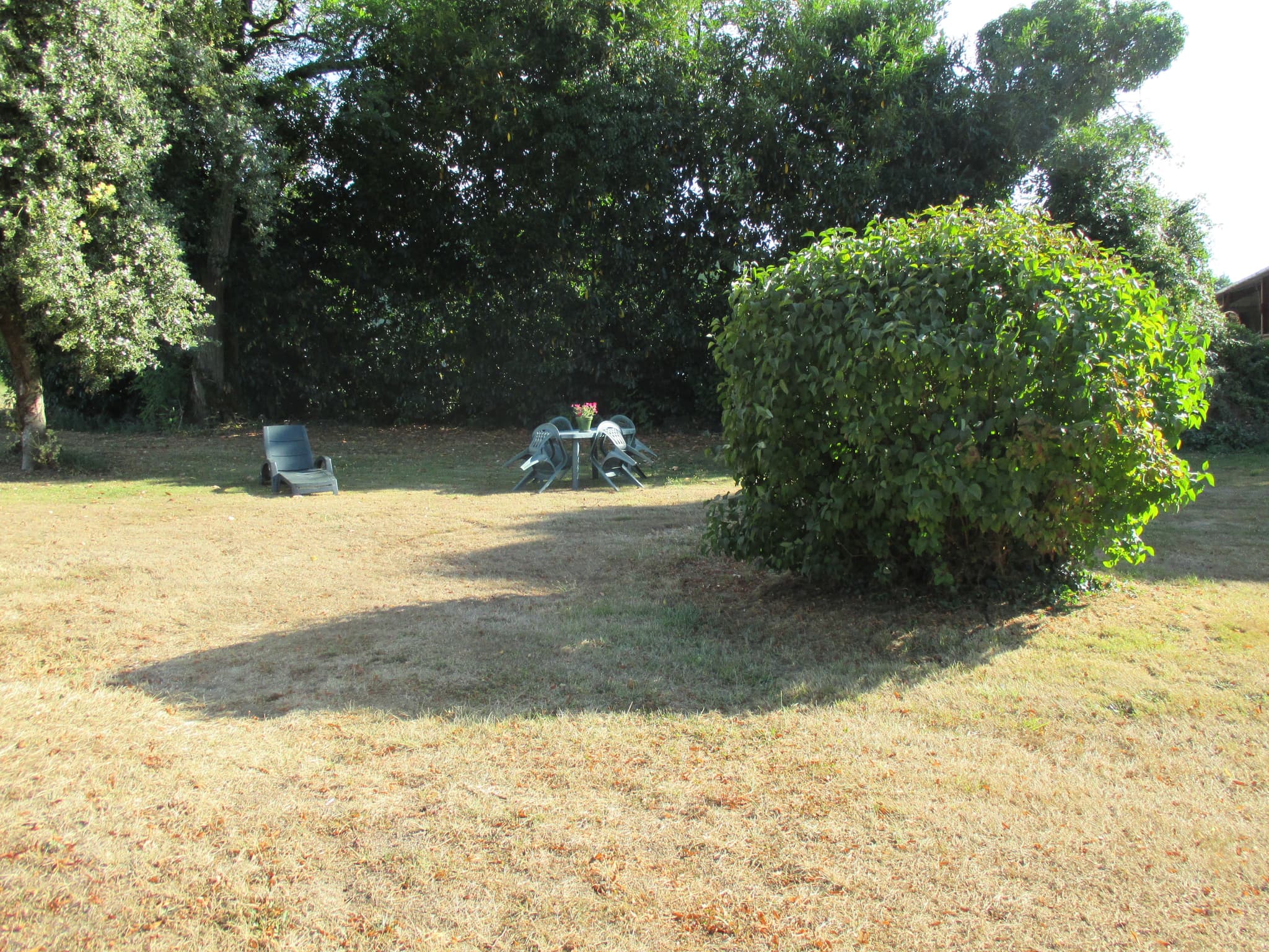 le salon de jardin_5