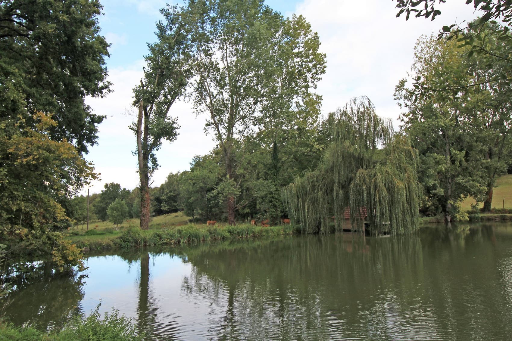 Meublé de tourisme Le gîte d'Au_9