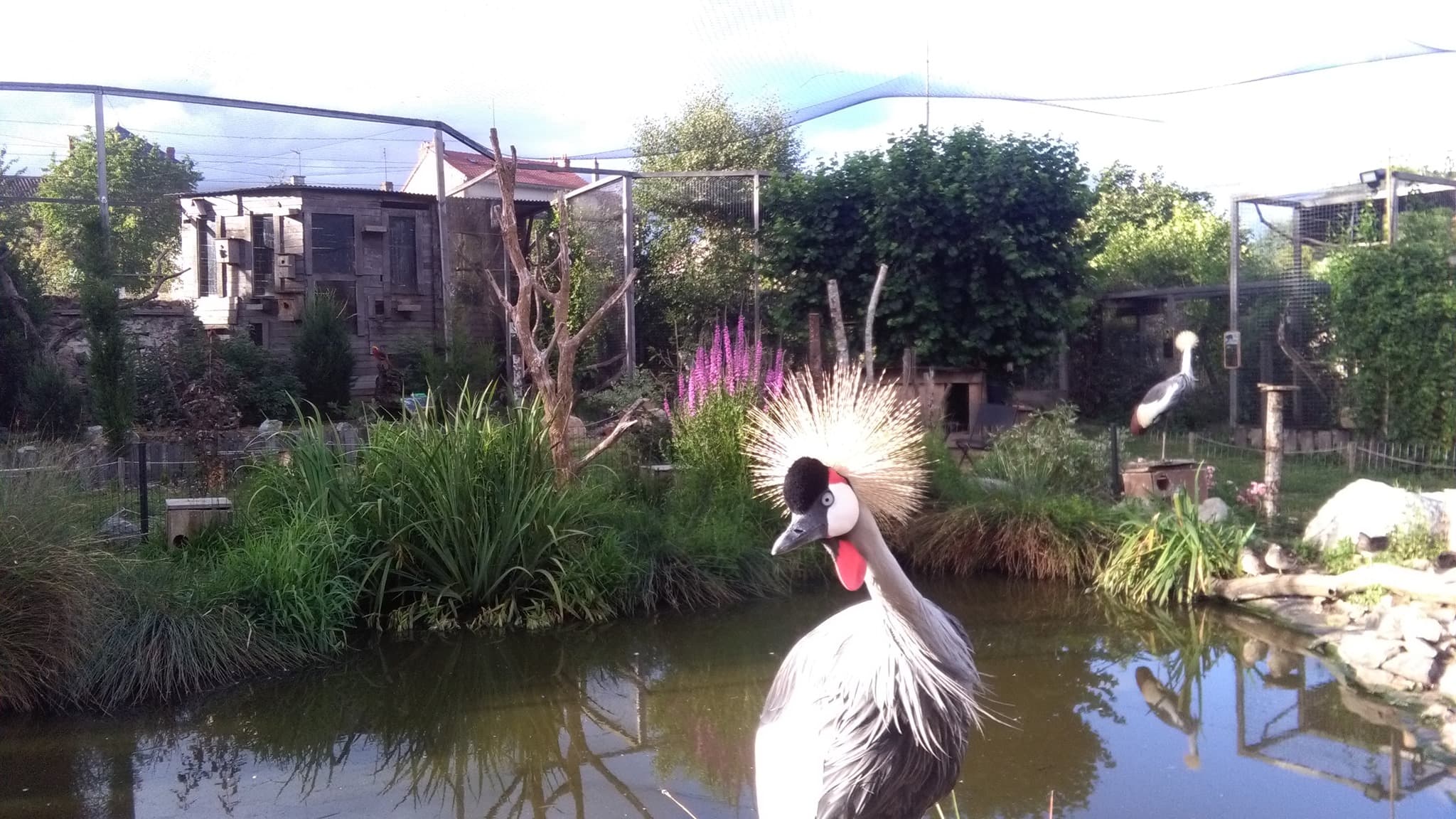 Jardin Zoologique Bellachon
