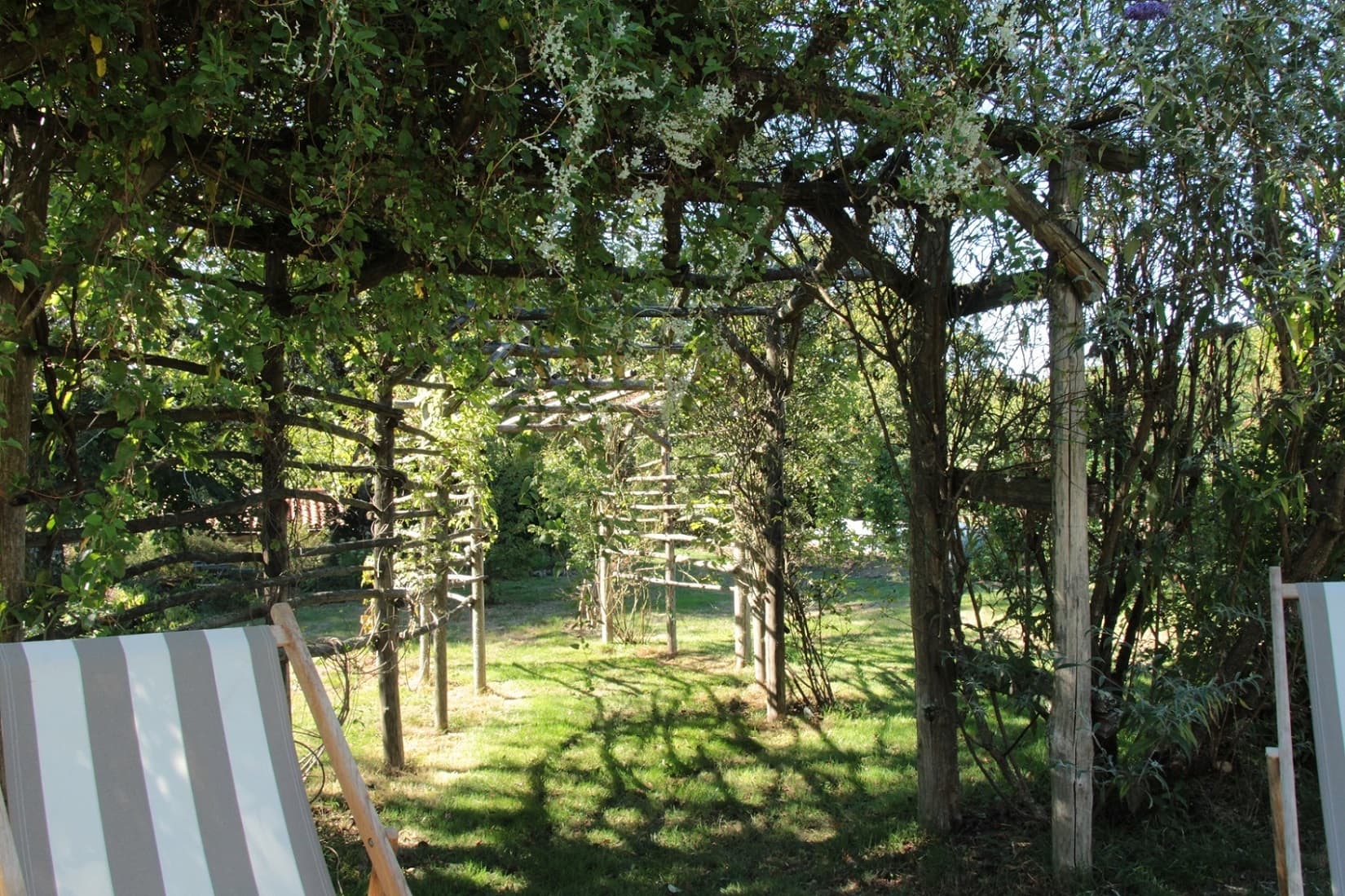 jardin_11