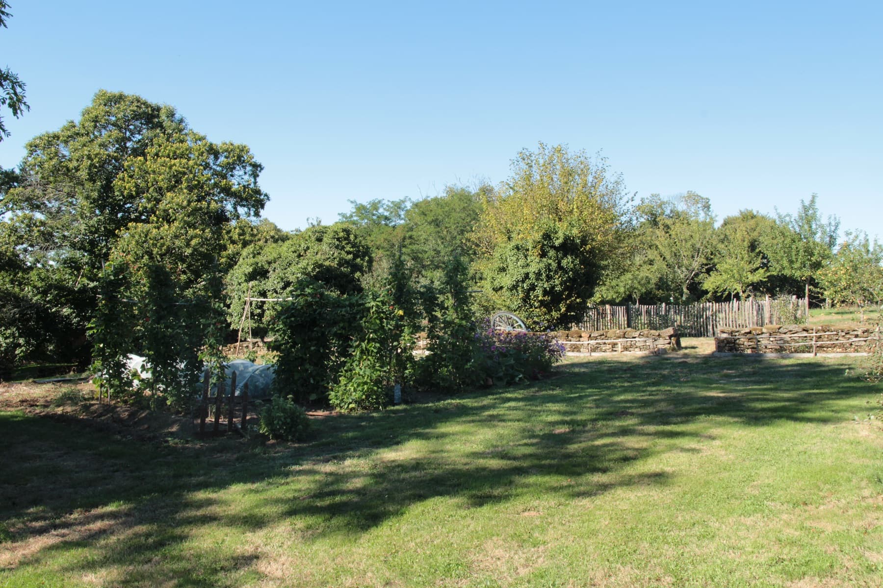 jardin_12