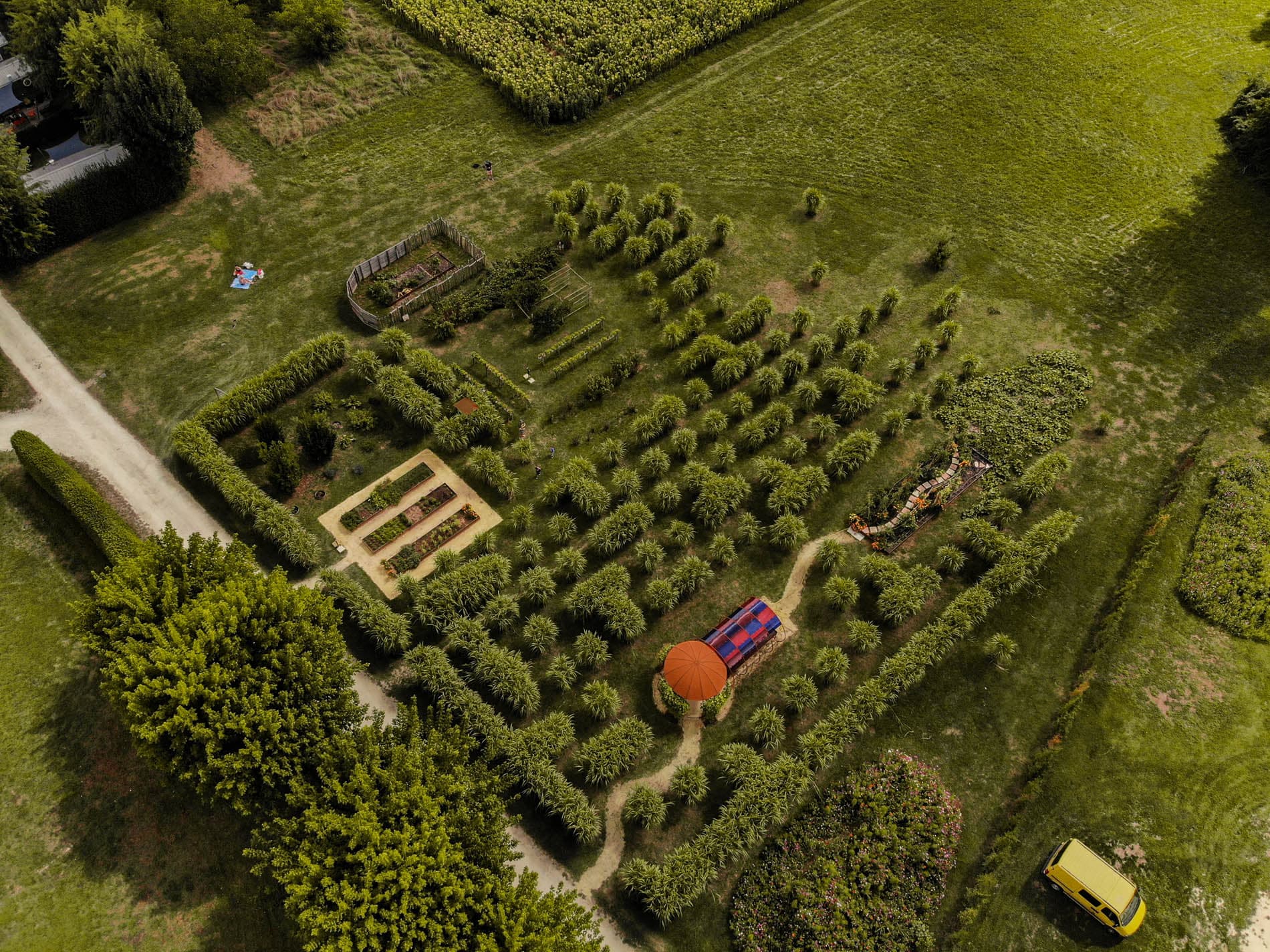 22- jardin comestible