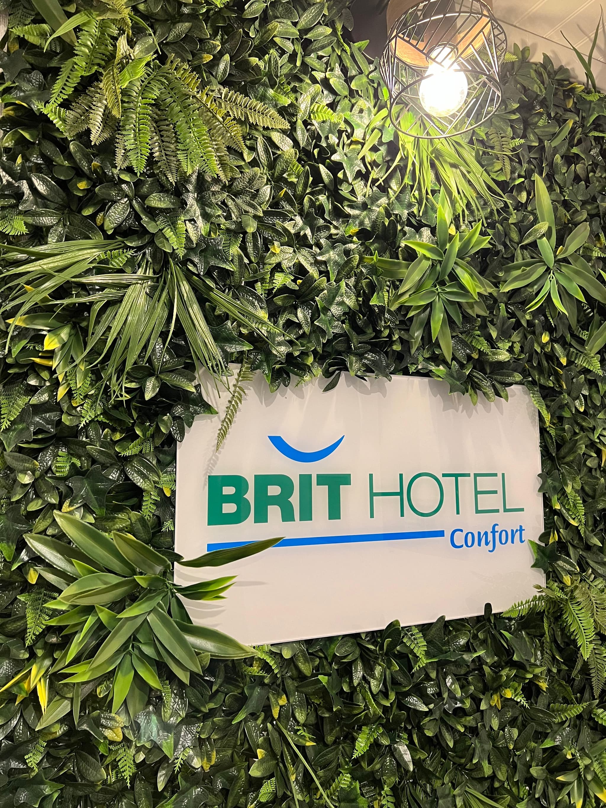 Mur végétal au Brit Hôtel du Parc à Niort
