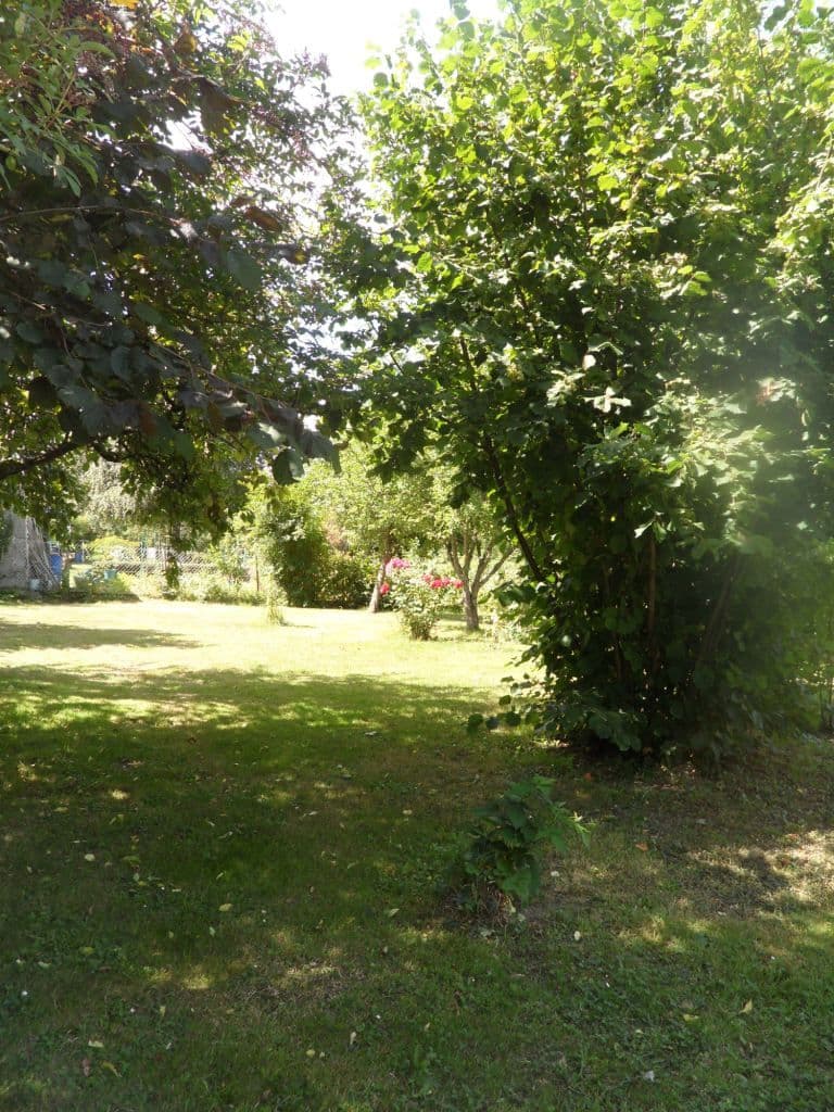 Jardin_10