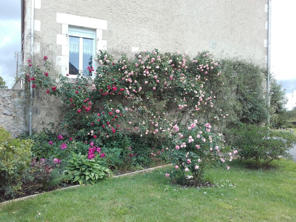 Location de Eric ASSISE - Studio 1_10
