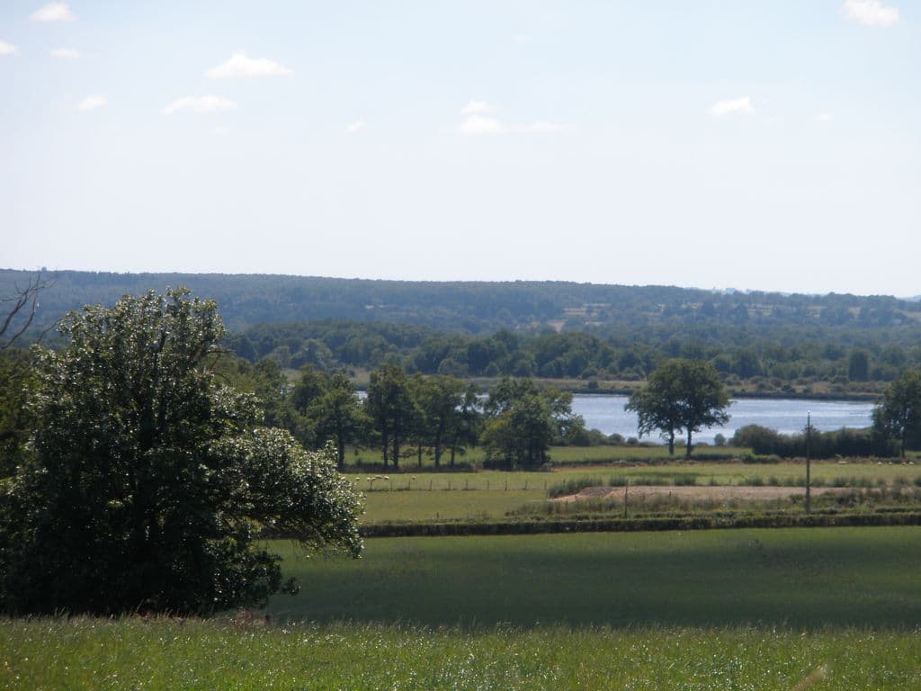 Vue étang_8