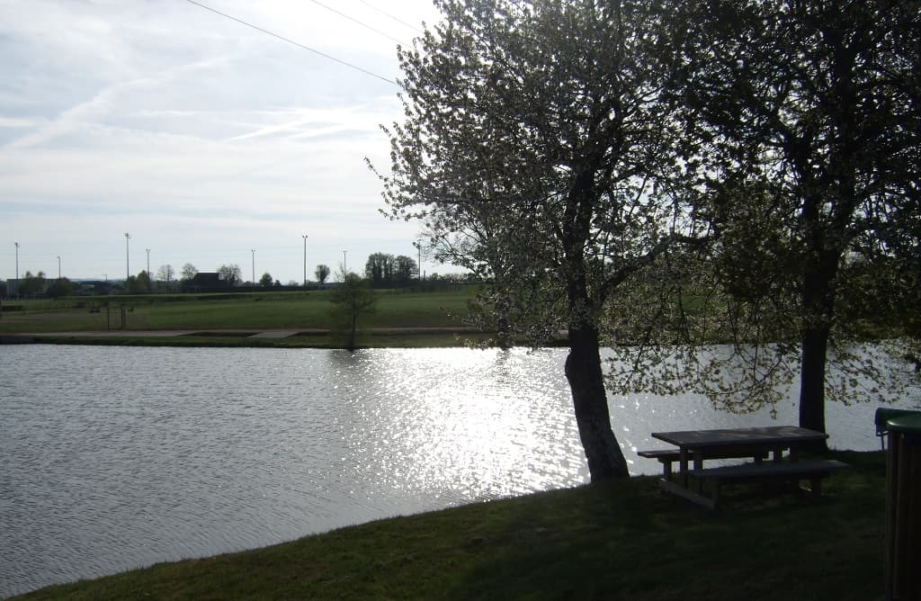 Aire de pique nique au bord de l'étang_1