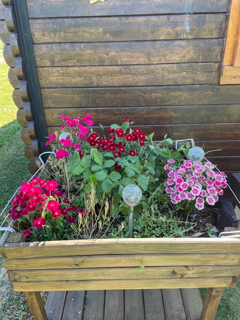 Le Petit Chalet de Sylviane_10