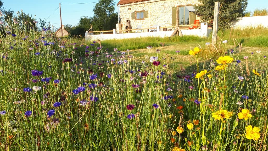 Gîte le Monticule_6