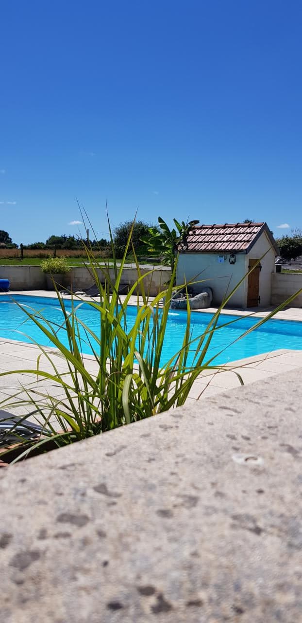 Gîte la Libellule_8