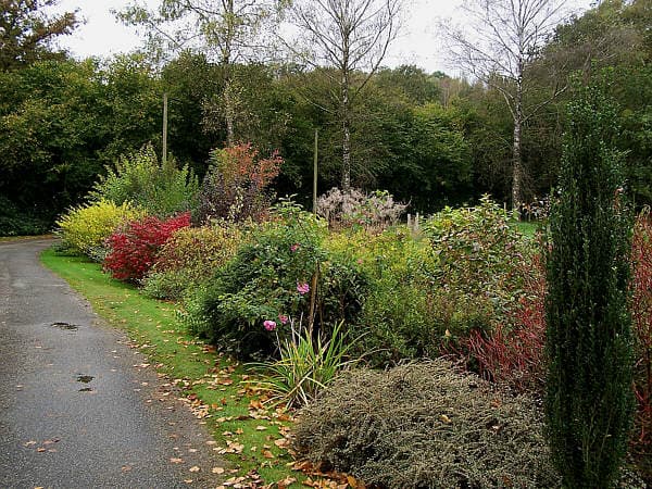 Meublé de tourisme" Le Grand Valeix"_11