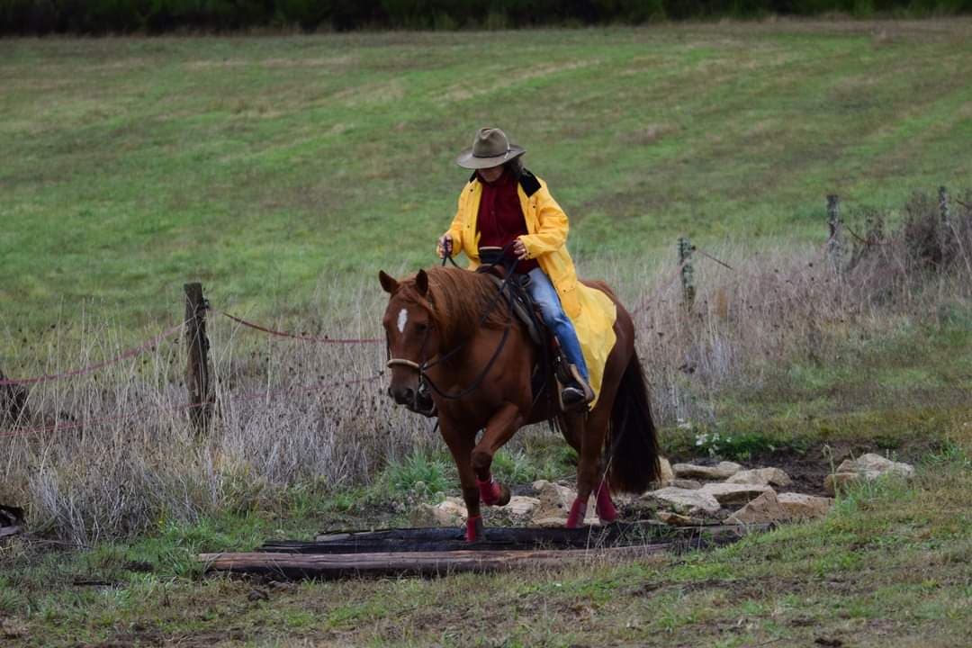 NAHANI RANCH-Mountain Trail Equitation western comportementale_8