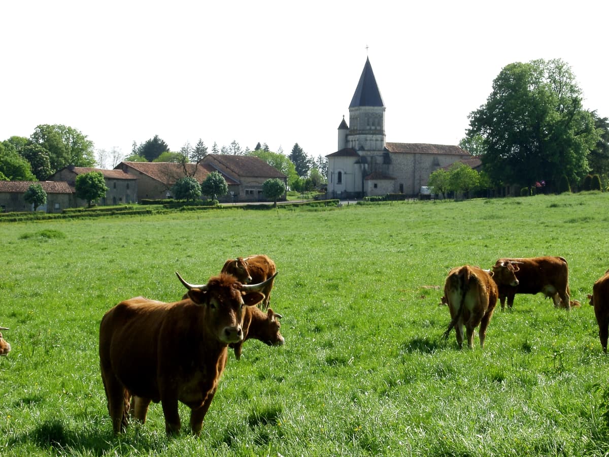 Eglise de Maisonnais sur Tardoire_2