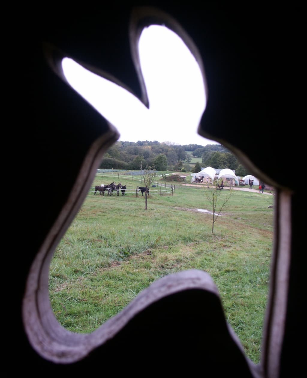 Cabane à la ferme chez Ane et Carotte_2