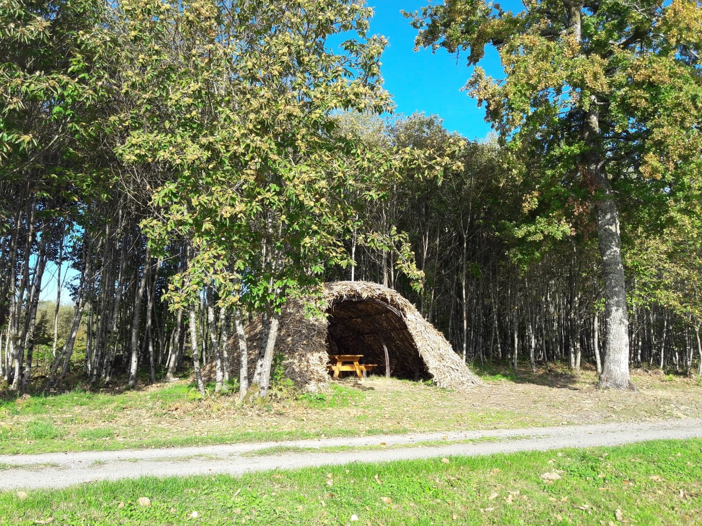 Étang de Masselièvre_2