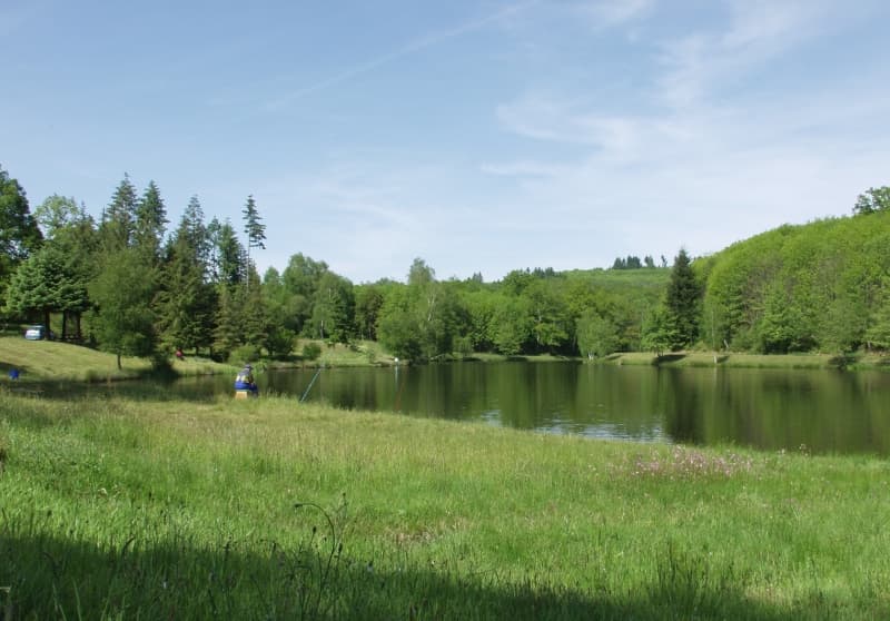 Étang de Masselièvre_3