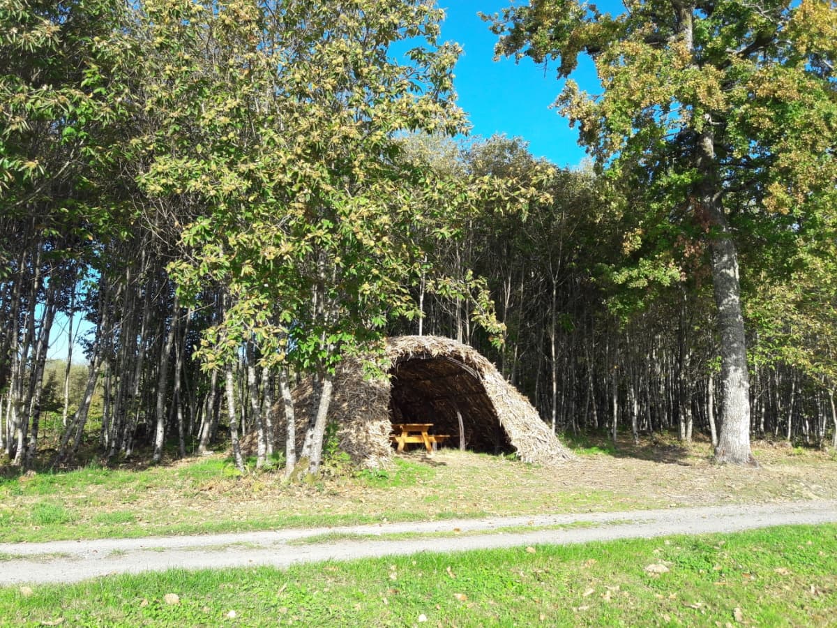 Aire de pique-nique Etang de Masselièvre_2
