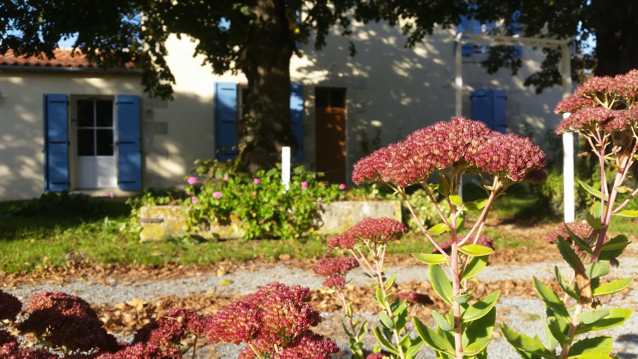 Le jardin
